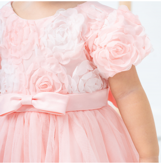 FIFFY FAIRY ROSE DRESS