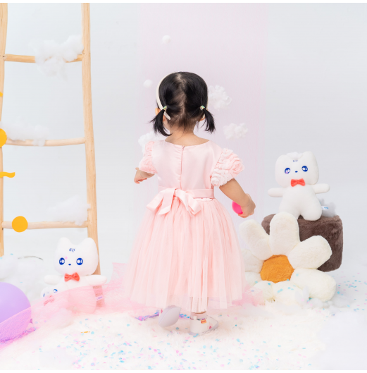 FIFFY FAIRY ROSE DRESS