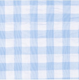 FIFFY MINI GENTLEMAN SHORT SLEEVE BOY SHIRT SUIT
