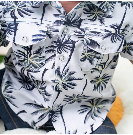 FIFFY BAJU BAYI BEACH BREEZE SHORT SLEEVE BOY SHIRT SUIT (2623515)