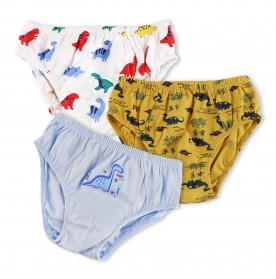 FIFFY 3 IN 1 BOY PANTIES COMBO SET