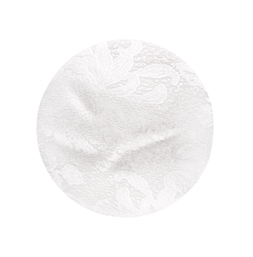 FIFFY ANTIBACTERIAL WASHABLE BRA PADS (4'S) 98-638