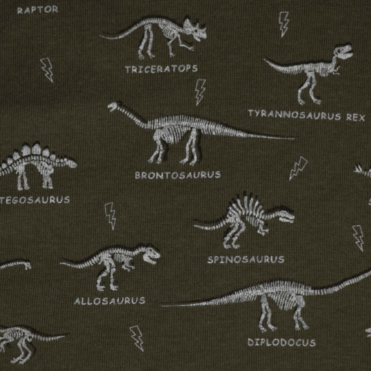 FIFFY DINO FOSSIL T-SHIRT SUIT